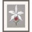 Orchid Study 4 Painting