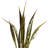 36" Bahia Spears Seeded, 9 stems, Dried-1514130382