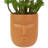 5.5 " H Faux Plant in Plastic Pot