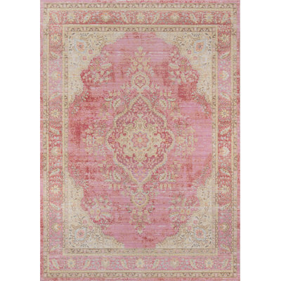 Allerone Oriental Indoor Rug