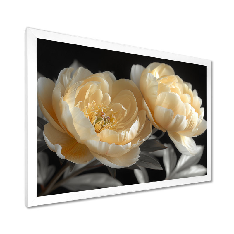 Saltz - pivoines, art mural, Cadre noir, H 16 po x l 32 po