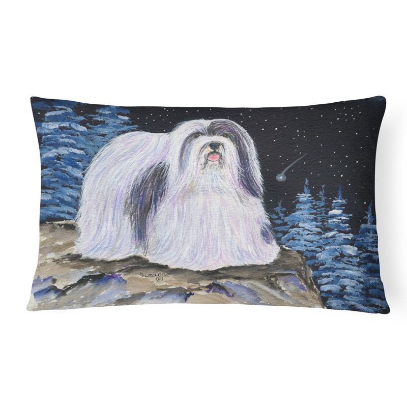 Coussin décoratif intérieur / extérieur Starry Night Havanais