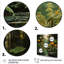 Jungle of Amazonian Dream 3 - Art mural jungle-1151713117-1151713118