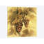 « raisins iii », reproduction sur toile-28956749-74554940-74554946