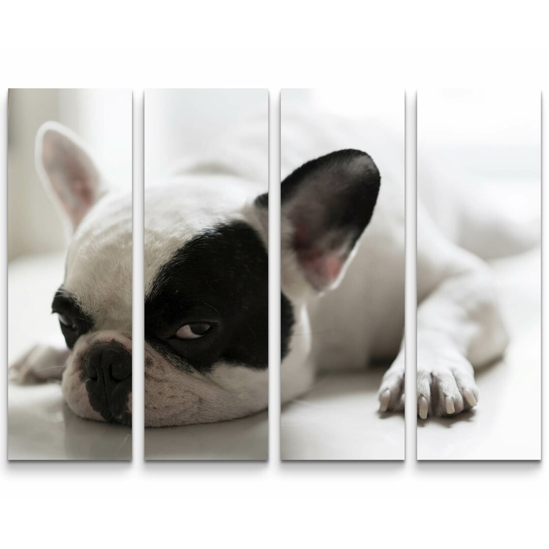 4-tlg. Leinwandbilder-Set Sleepy French Bulldog