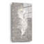Art mural en verre acrylique 12 po x 24 po Latitude Run® «Silver Blue Eyed Feathers 2» par Albena Hristova-1394983507