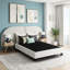 Oatmeal Modern Queen Bed