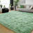8x10 Fluffy Area Rugs for Living Room, Large Shag Rug for Bedroom, Black Soft Fuzzy Carpet, Non-Slip Backing, Modern Home Decor-1090053684-1090053678