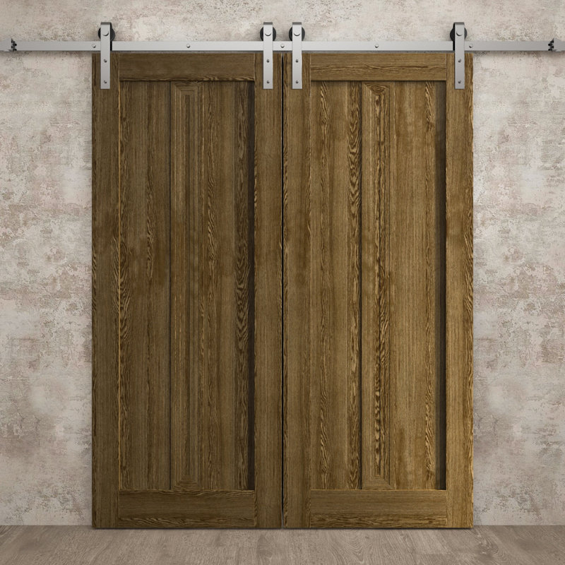 Porte de grange double moderne | Ego 5006 | Ensemble de rail argenté | Portes intérieures solides, Chêne marbré
