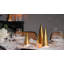 Hammershoi Champagne Glass-1754725102