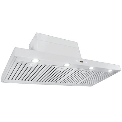 Hotte murale 54 pouces 1100 CFM en acier inoxydable brossé