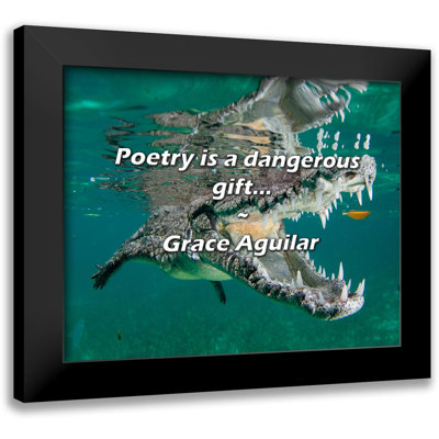 Grace Aguilar Quote: Poetry is a dangerous gift...