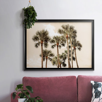 " Blushing Palms "