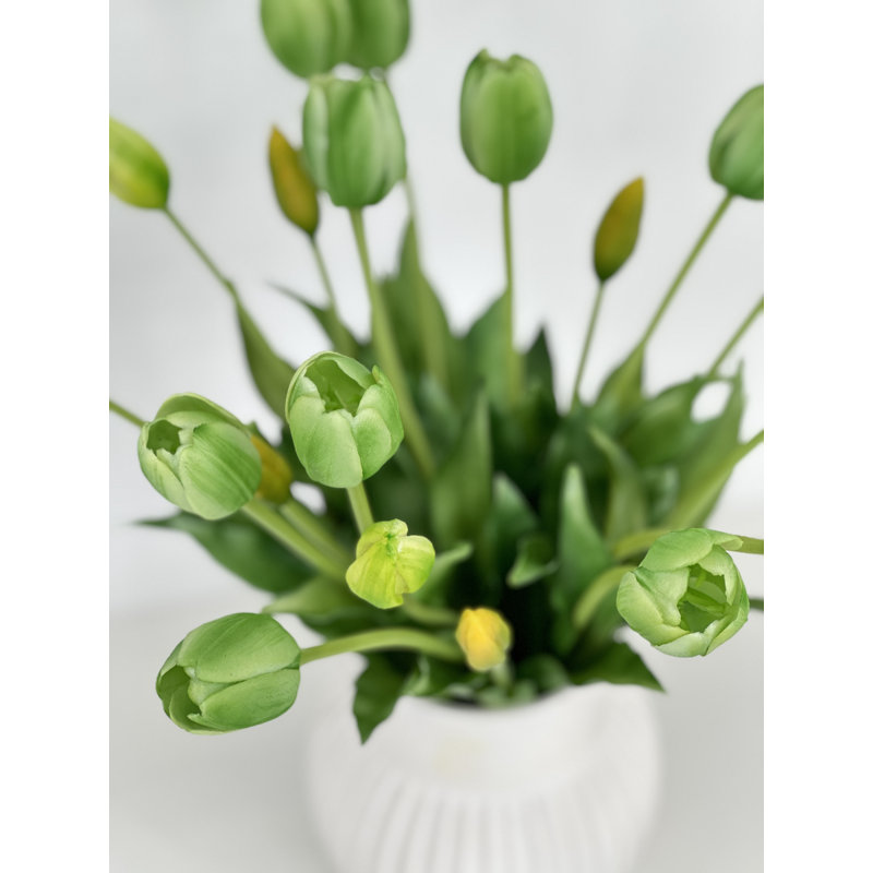 5 vraies tulipes artificielles, Vert