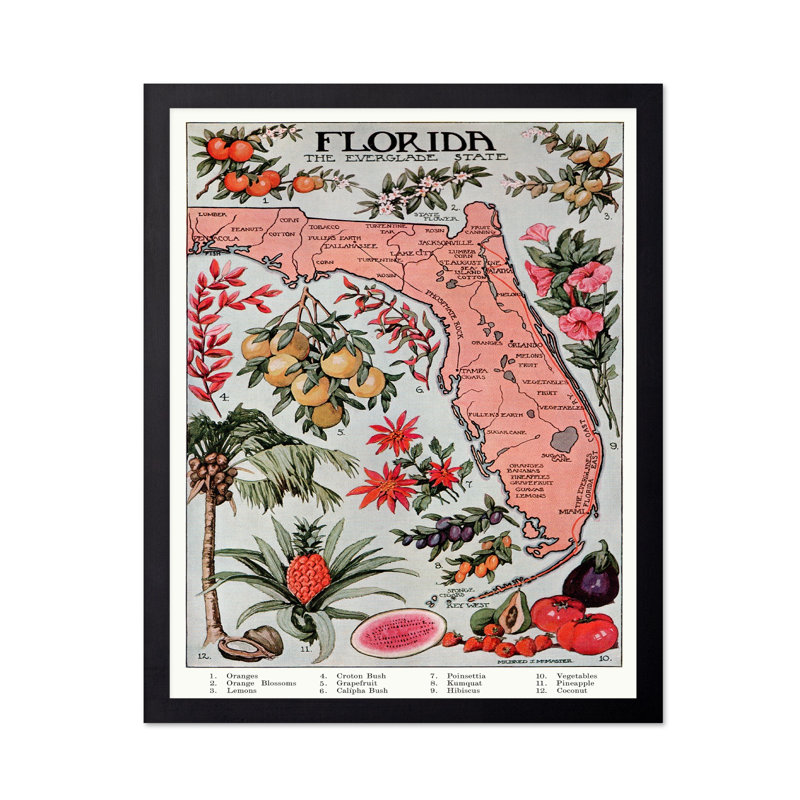Floride - État de Everglade, Sans cadre, Affiche, H 24 po x l 32 po