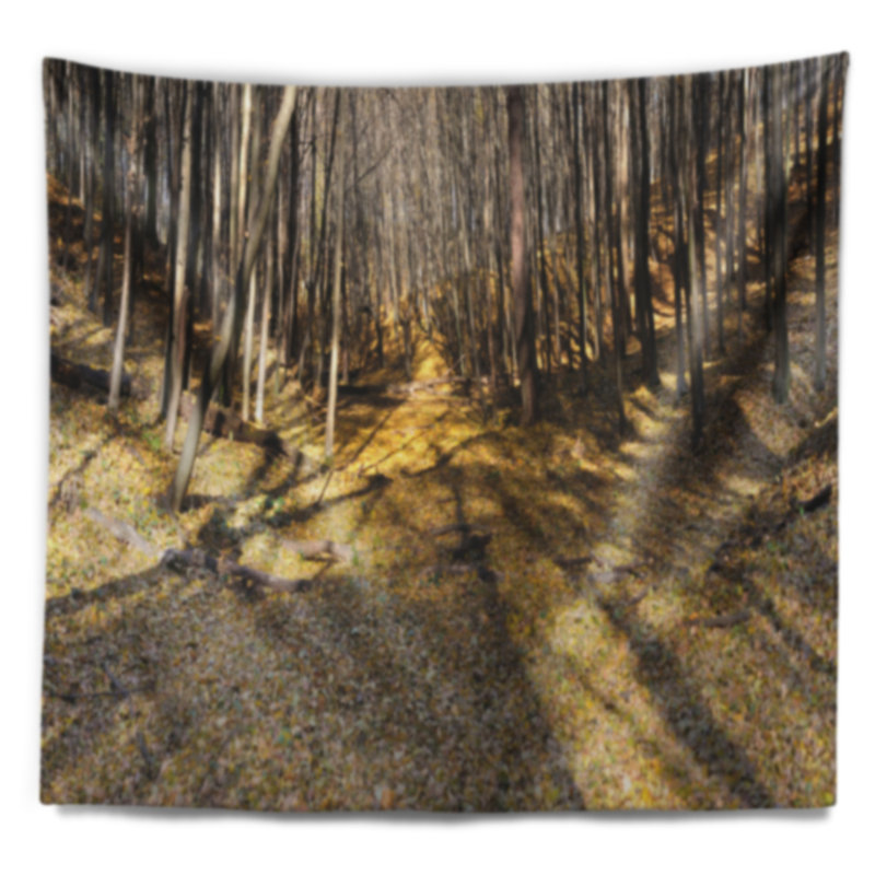 Paysage majestueux, forêt d'automne, tapisserie panoramique, H 32 po x l 39 po