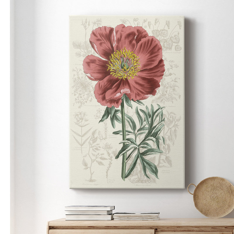 Peony Flower Garden IV - Impression sur toile tendue, L 12 po x H 18 po