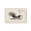 Impression sur toile Northiant Sleigh-1717039425-1717039426