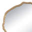 Vine Mirror Large (Antique Gold)-955644046