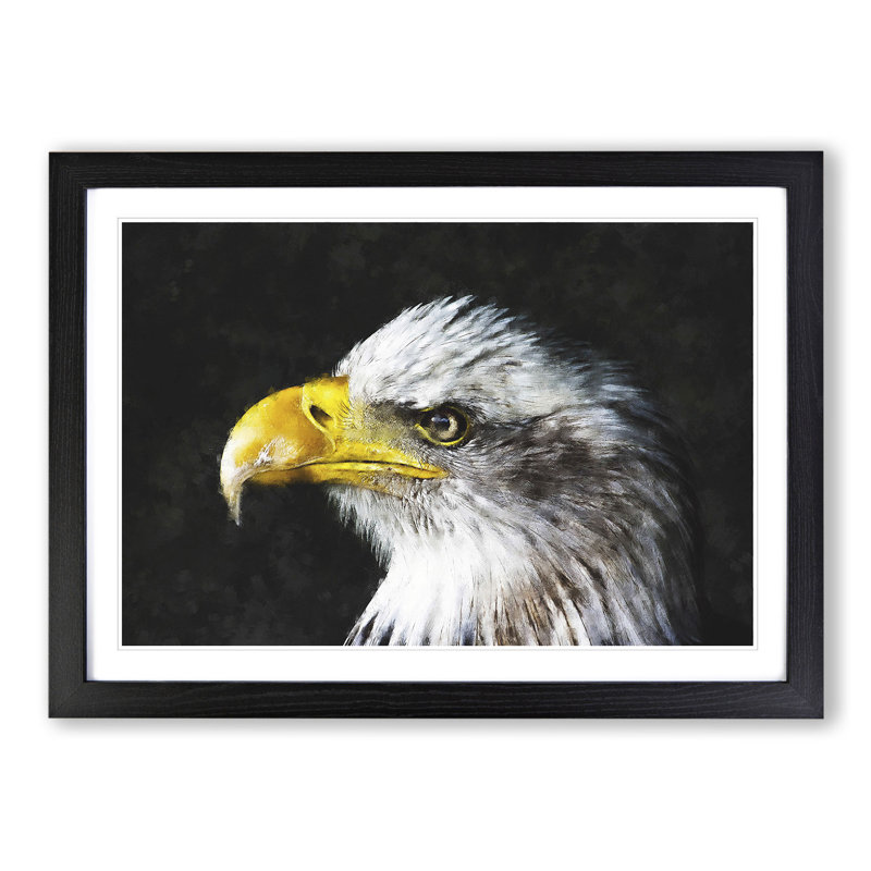 Bald Eagle Vol.1 - Picture Frame Painting, Black Framed, 36cm H x 48cm W x 2cm D
