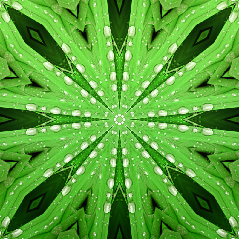 Natural Kaleidoscope by Maxiphoto - Wrapped Canvas Print, 30cm H x 30cm W x 3.8cm D