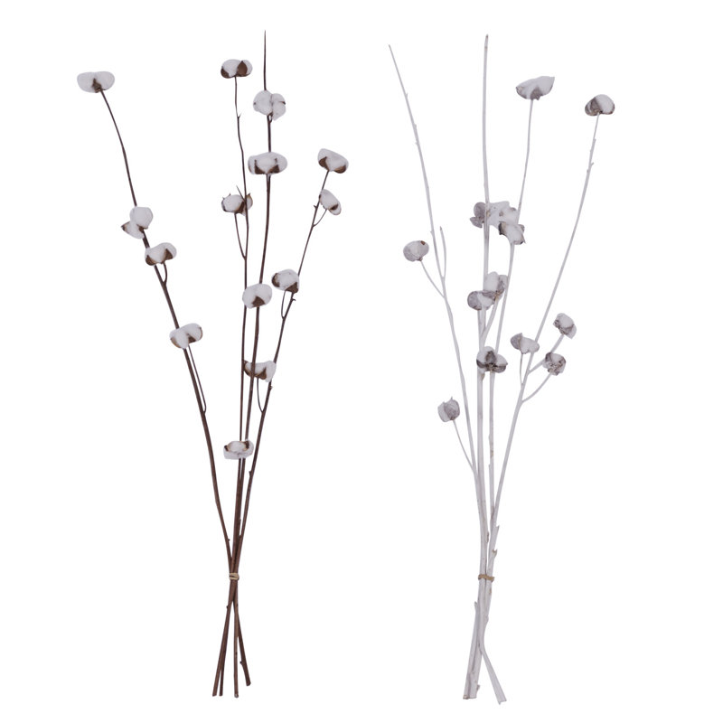 Cotton Arrangement