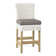 Sag Harbor 28" Patio Bar Stool with Cushion (Set of 2)