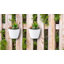 Ensemble de pots à fleurs suspendus en plastique 6 pièces Bernan