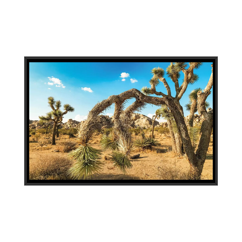 «Joshua Tree National Park» par Mark Paulda, impression sur toile, H 32 po x l 48 po x P 1,5 po, Toile encadrée noire