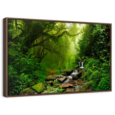 Forest Stream