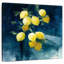 Yarlin Lemon Grove I