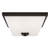 Ellis Harper Two Light Ceiling Flush Mount from Generation Lighting -65985754-64258221