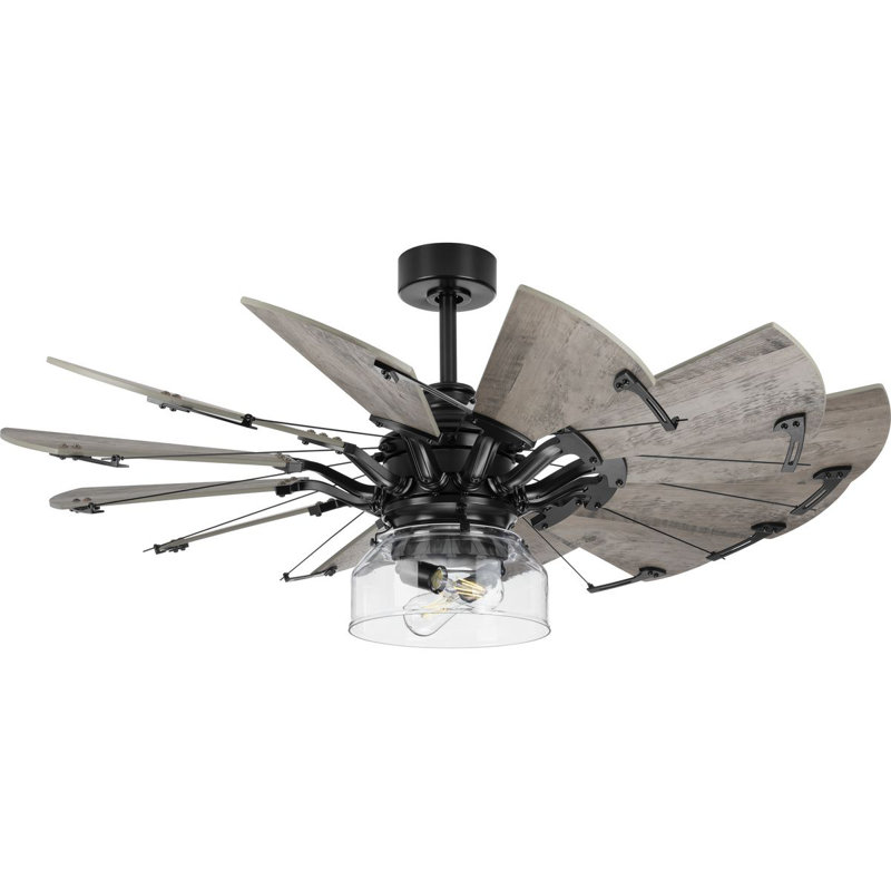 Ventilateur de plafond 2 lumières, Noir mat