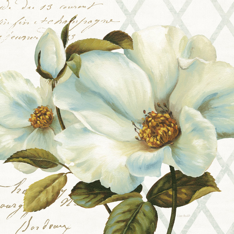 «White Floral Bliss II» par Lisa Audit - impression, H 30 po x l 30 po x P 1,25 po, Non, Cadre simple érable érable