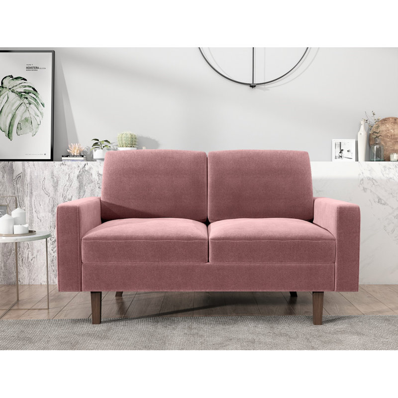 Noreen 57.9'' Velvet Loveseat, Rose Velvet