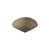 Coquillage