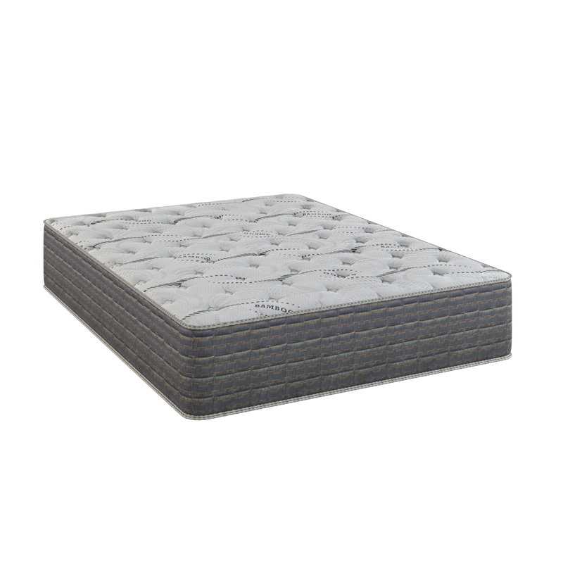 Dream Flex Two Sided Pillow Top Mattress, Twin, 13"