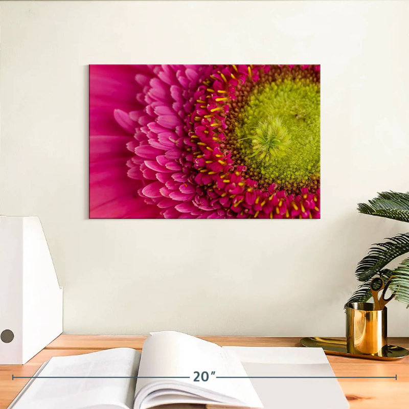 Gerbera magnifiée, H 8 po x l 12 po