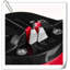 GLOBAL GIRLS LLC Accent-98502253