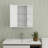 Bathroom Medicine Cabinet With Mirror