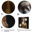 Lion jaune en costume - art mural mode lion-88535043-88535039