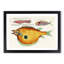 East Indies Fish Illustrations XXX by Louis Renard - Picture Frame Graphic Art Print-55537340-55537339