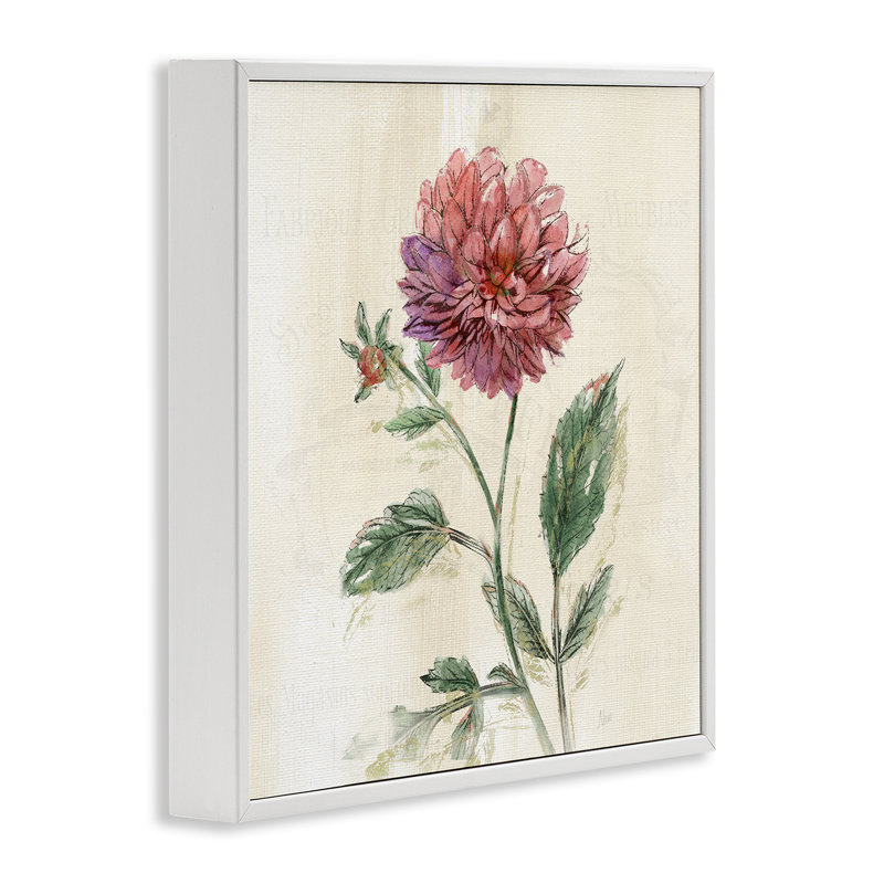 «Dahlia» rose traditionnel, estampe numérique, design par Nan, H 17 po x l 17 po