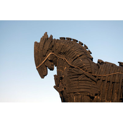 " Trojan Horse " by Alexkosev