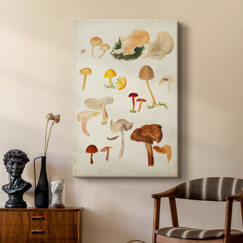 Mushroom Species douzième - galerie Cavas sur mesure, H 60 po x l 40 po