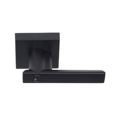 Santa Cruz Keyed (Entry) Door Lever