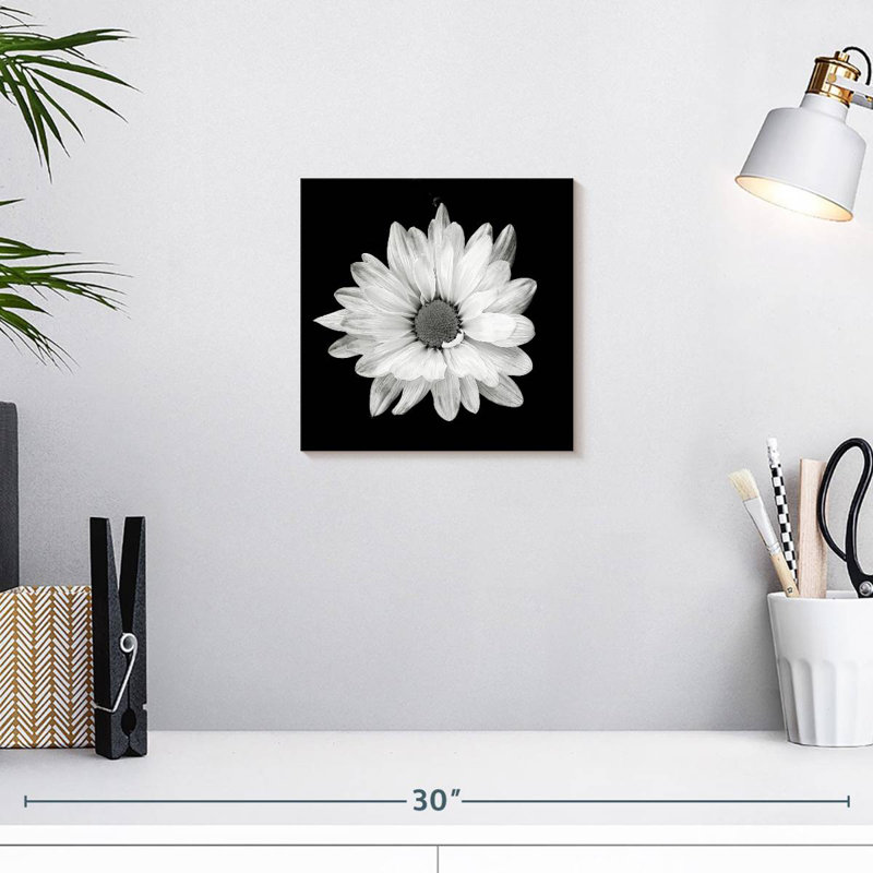 Harnek BW White Daisy, 10" H x 10" W