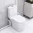Basement Toilet With 600W High-Performance : Dual Flush, 17.25" Comfortable Seat, Soft-Close, 3 Water Inlets, White For Use: Comfort Entrances,