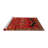 Oriental Indoor Rug-441579878