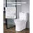 One-Piece Toilet, Elongated Toilet Vortex Dual-Flush 1.0/1.28 GPF, Toilets For Bathroom With Comfortable Chair Seat, Standard Height, Easy-Clean Skirted Design, 12 Inch Rough-In, White + Black-126267159